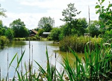 Wood Farm Camping & Caravaning Site