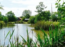 Wood Farm Camping & Caravaning Site