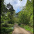 Click to view large image