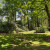 Click to view large image