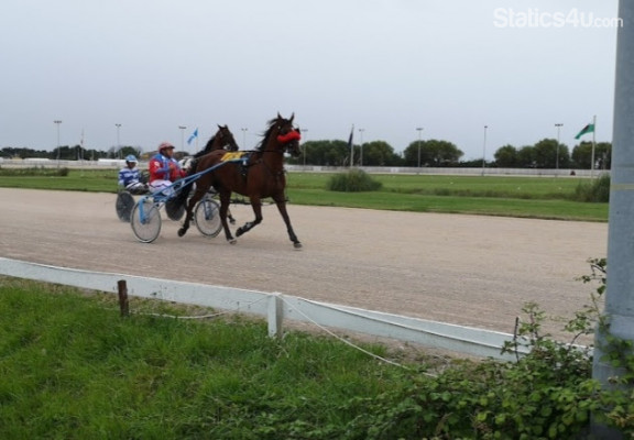 Tir Prince Tir Prince